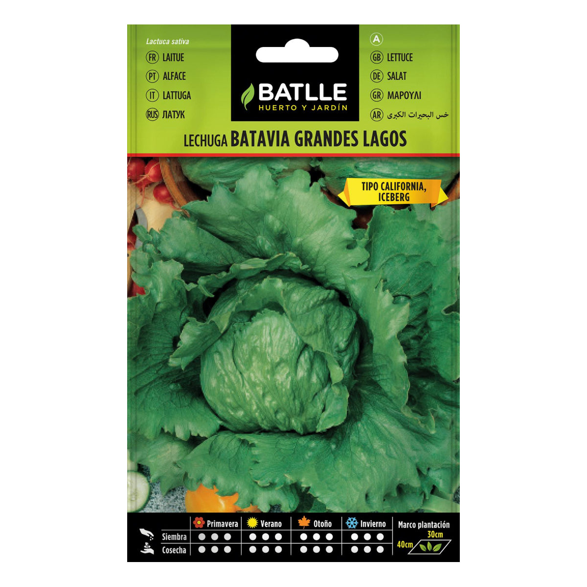 Sementes de alface Great Lakes Batlle