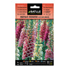 Sementes híbridas Digitalis Foxglove Excelsior Batlle