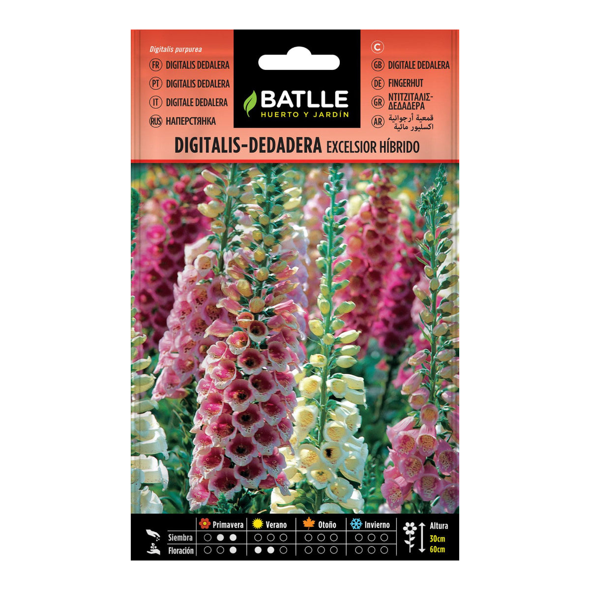 Sementes híbridas Digitalis Foxglove Excelsior Batlle