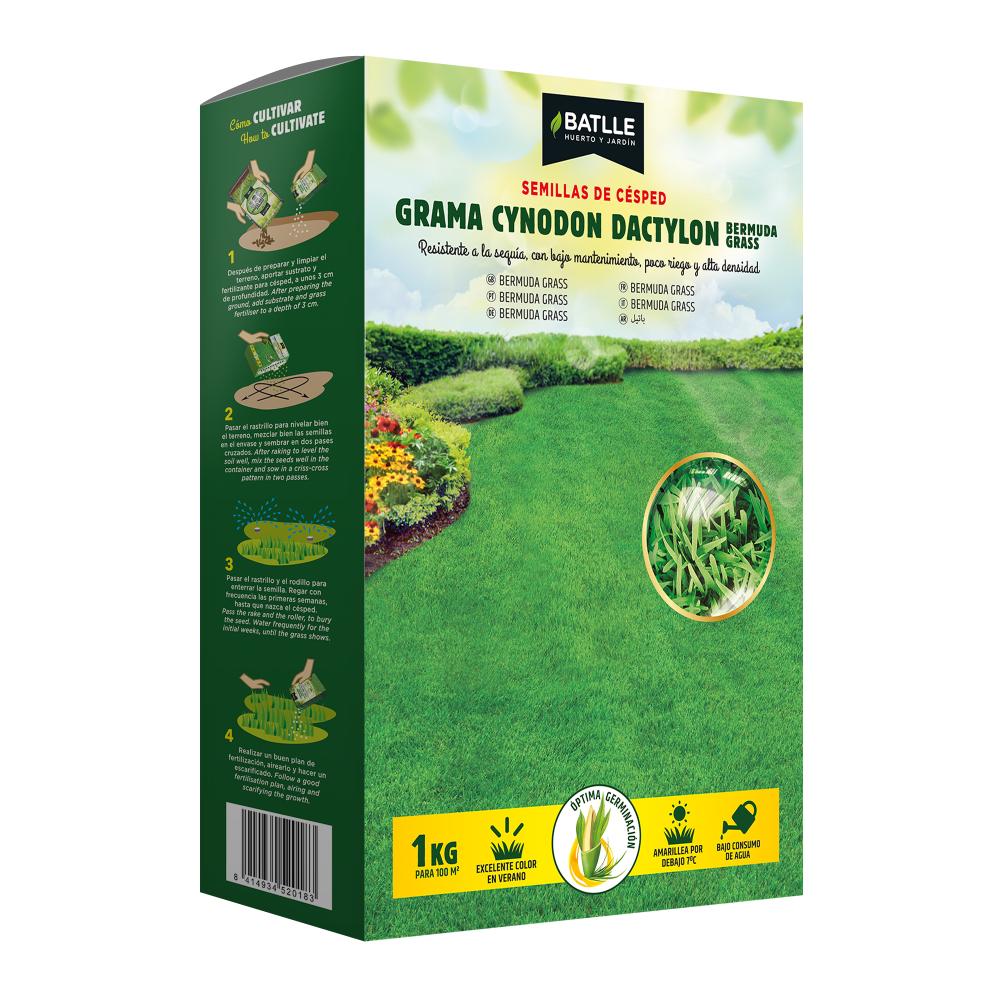 Sementes de relva Cynodon dactylon 1 kg