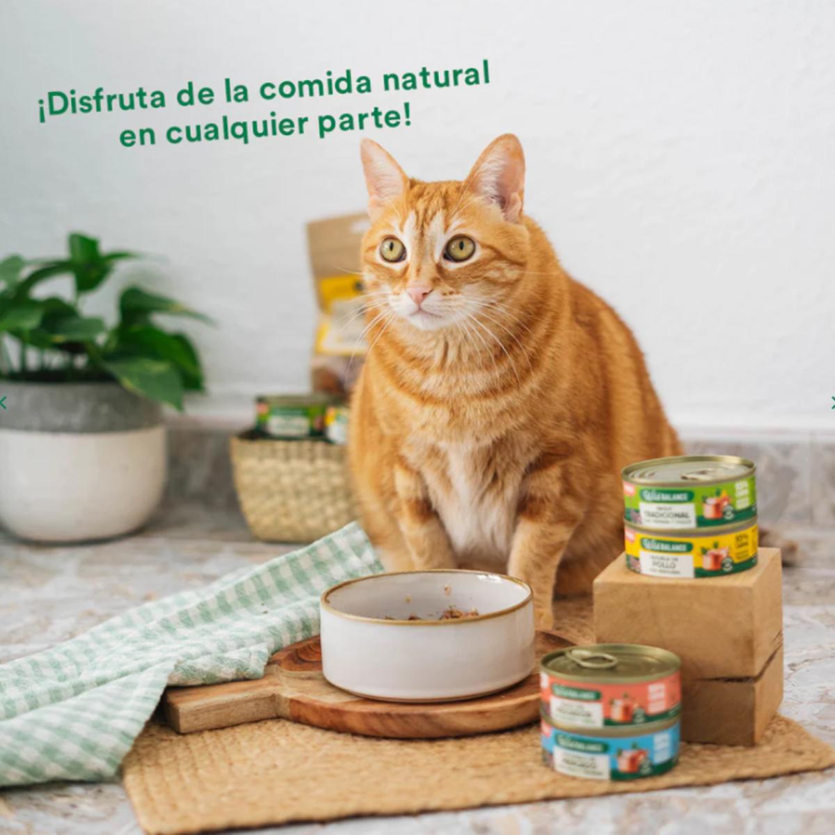 Caçarola de Frango Wild Balance para Gatos Lata 80g