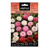 Sementes de Daisy Meadows Duplamente Variegadas Batlle