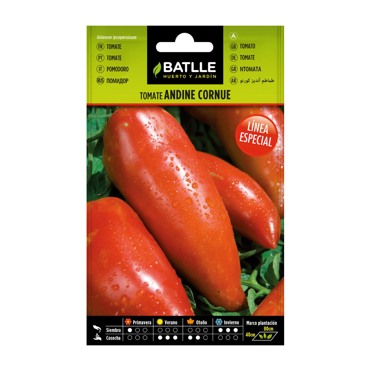 Sementes de Tomate Andina Cornue Batlle