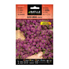 Sementes de amieiro anual Batlle Violet