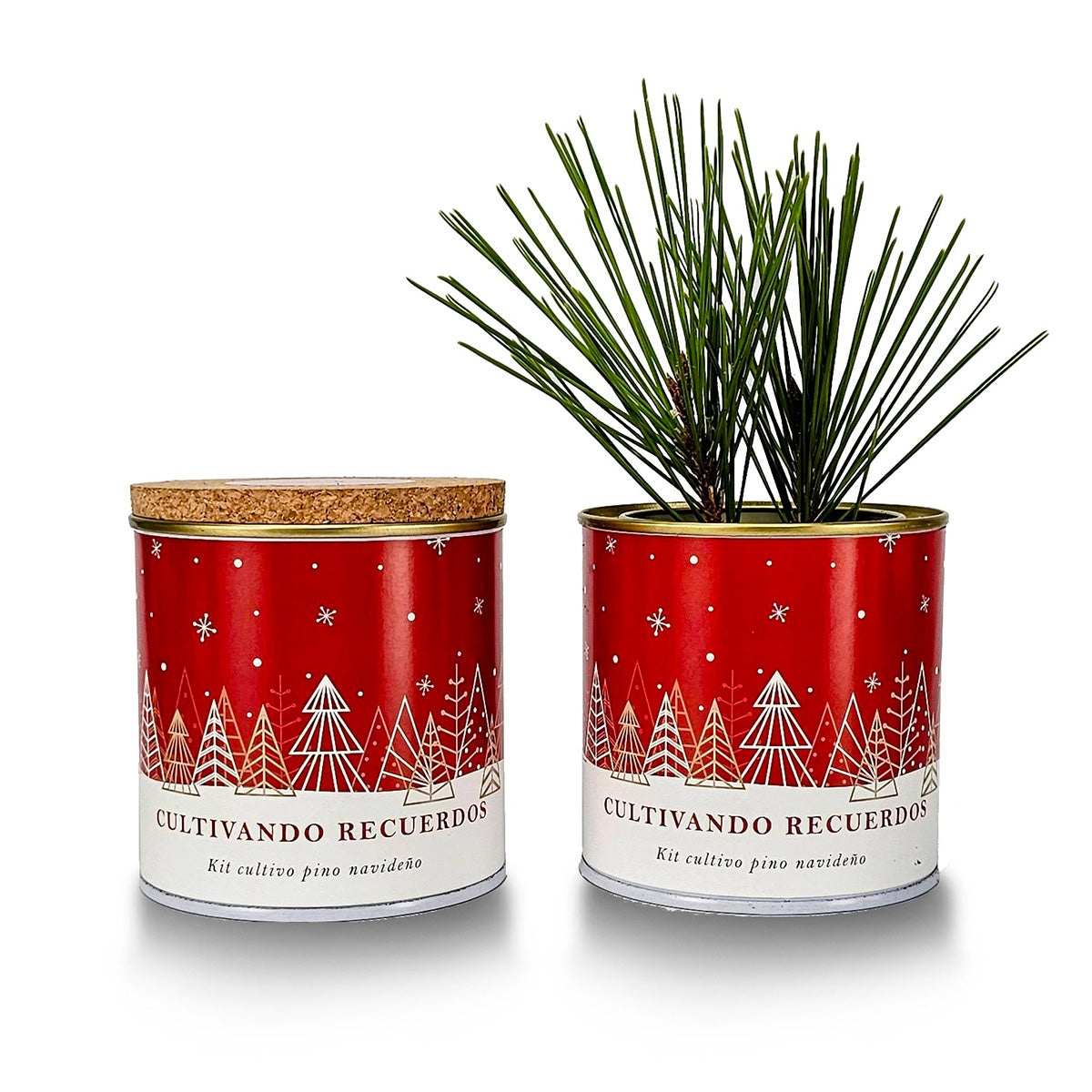 Kit de cultivo de pinheiros de Natal, paisagem nevada, bolso de jardim