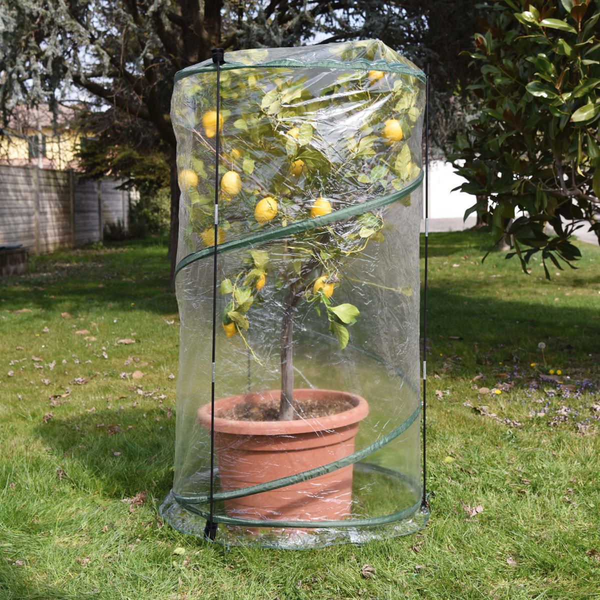 Invernadero plegable pop-up Verdemax ø 90 x 150 cm