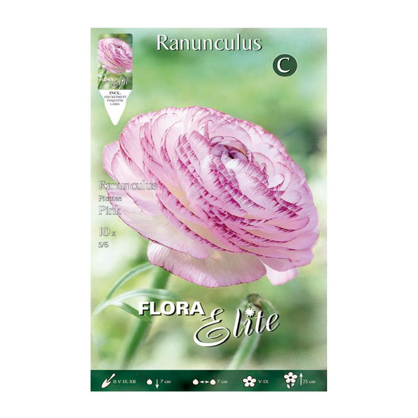Bolbos de Ranúnculo Rosa 10 unidades