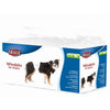 Fraldas Trixie 12 para cães machos SM 30-46 cm
