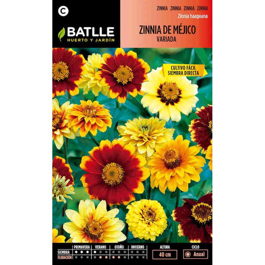Sementes de zínia mexicana Batlle