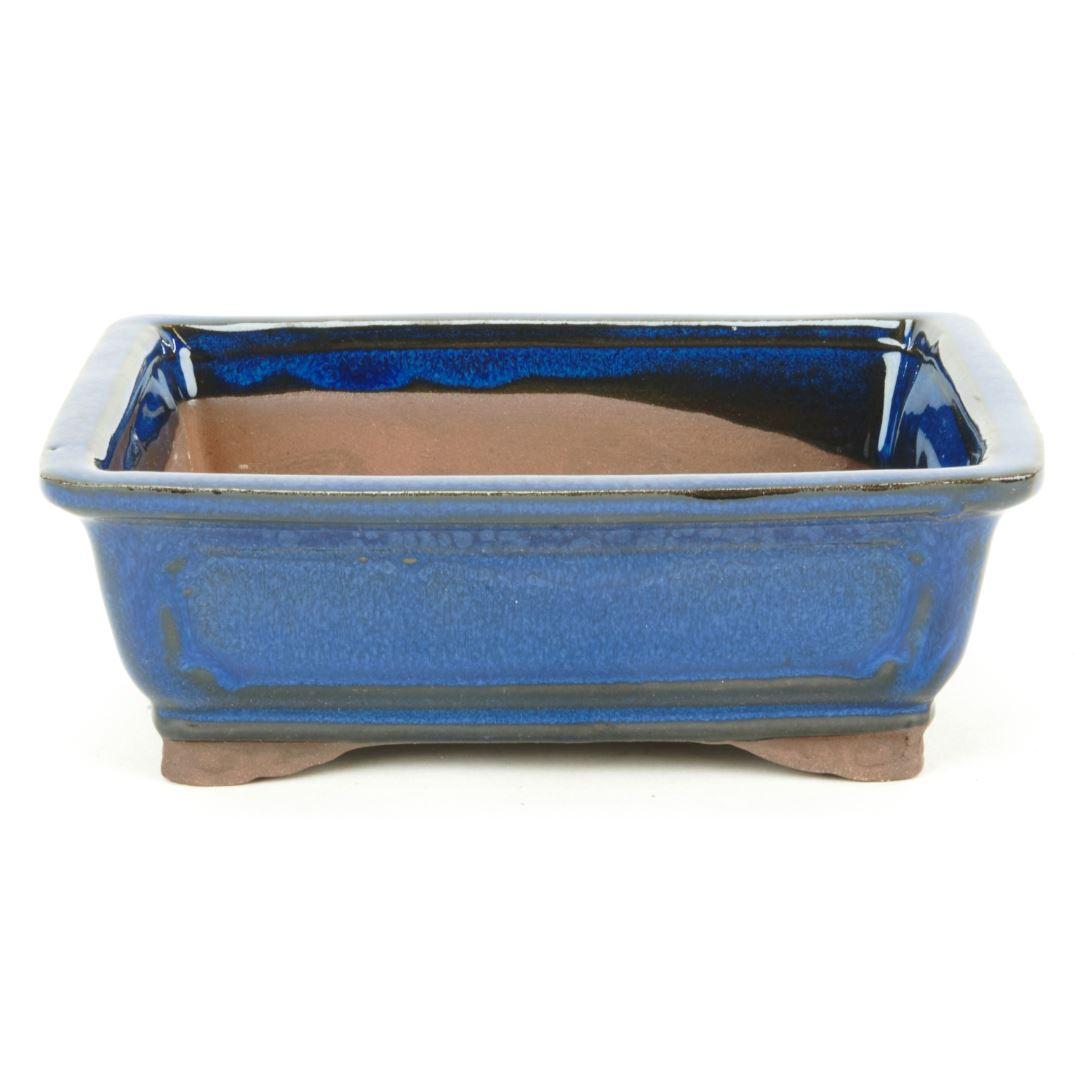 Vaso bonsai retangular azul de 20 cm de classe básica