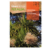 Sementes de Dracaena, Rocalba