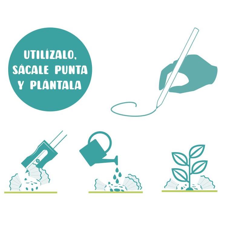 Lápis de Semente Plantável