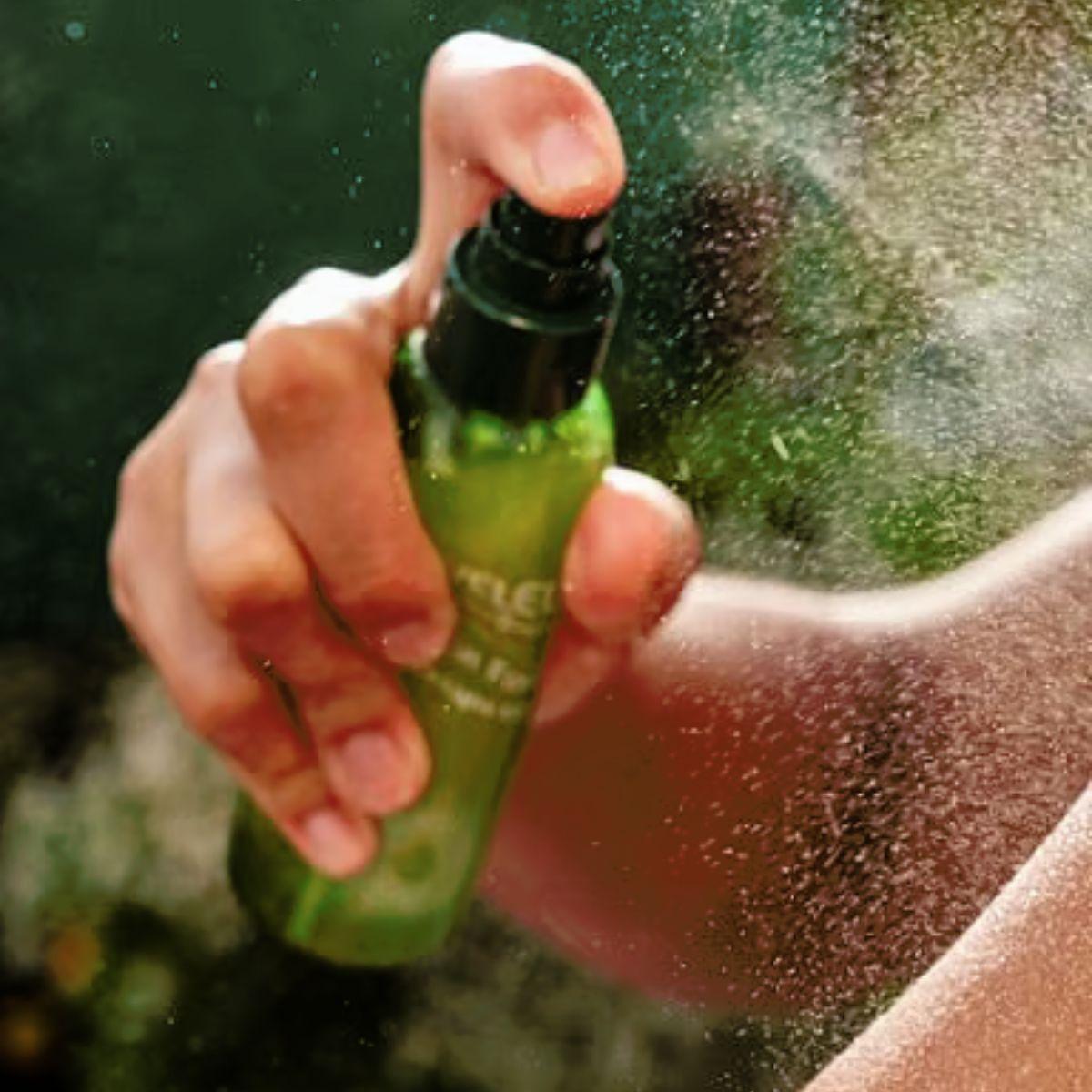 Óleo Seco Ultraleve Skin Food da Weleda 100 ml