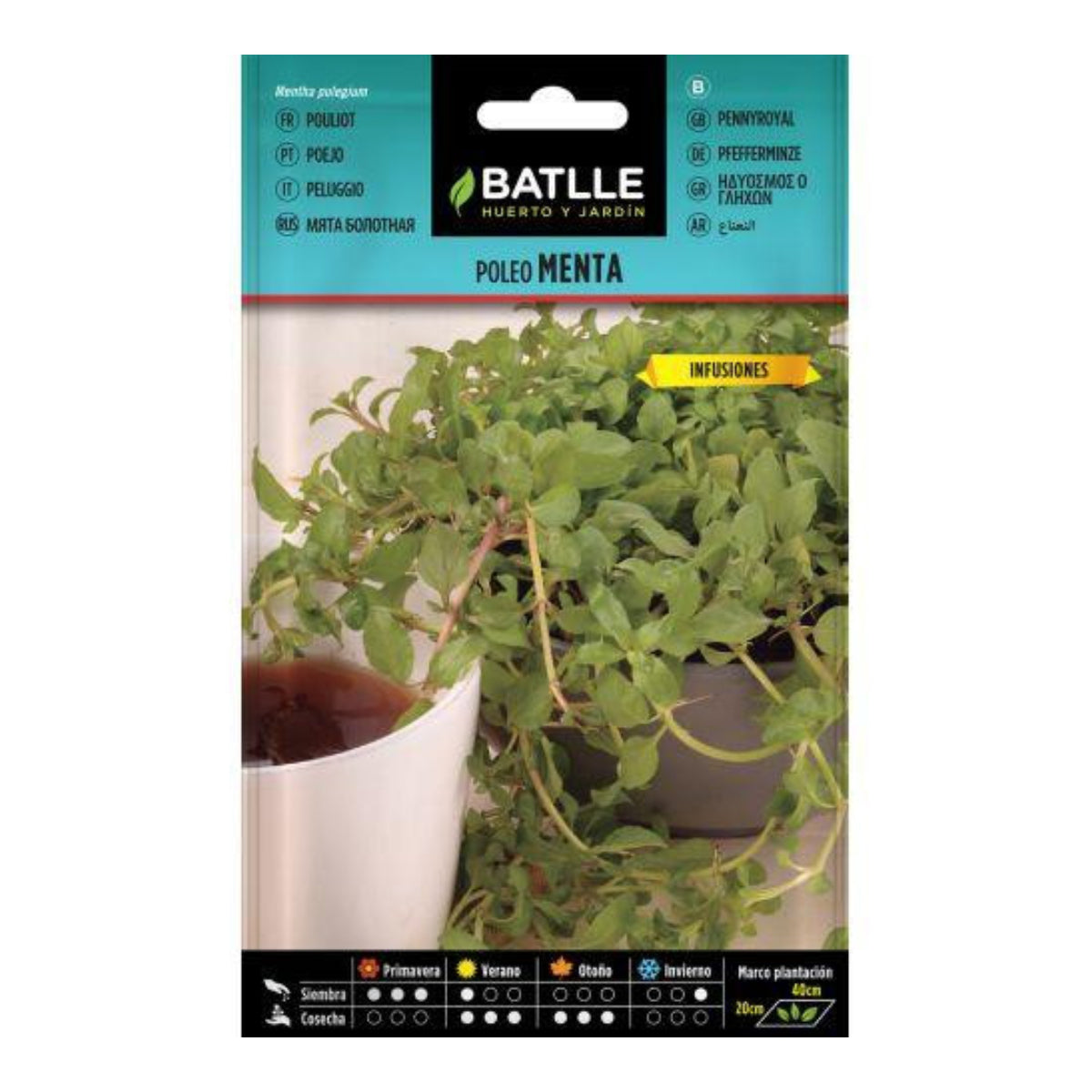 Sementes de hortelã Pennyroyal Batlle