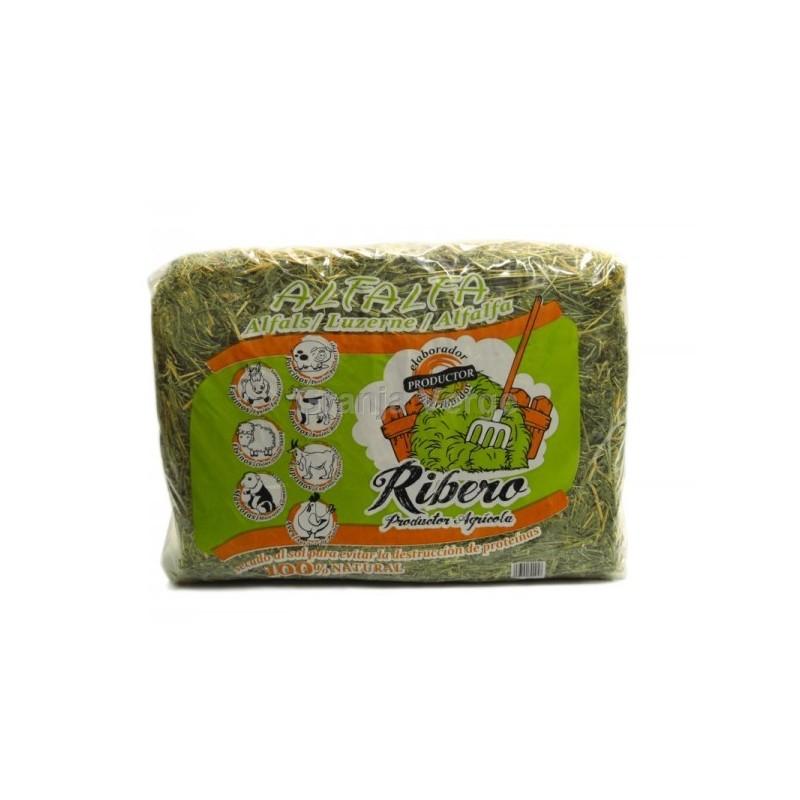Feno de alfafa para coelhos e roedores 5 kg Ribero