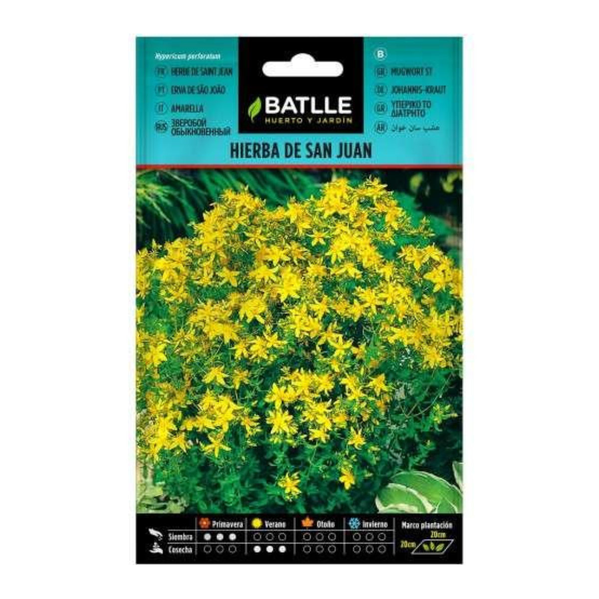 Sementes de erva-de-são-joão Batlle