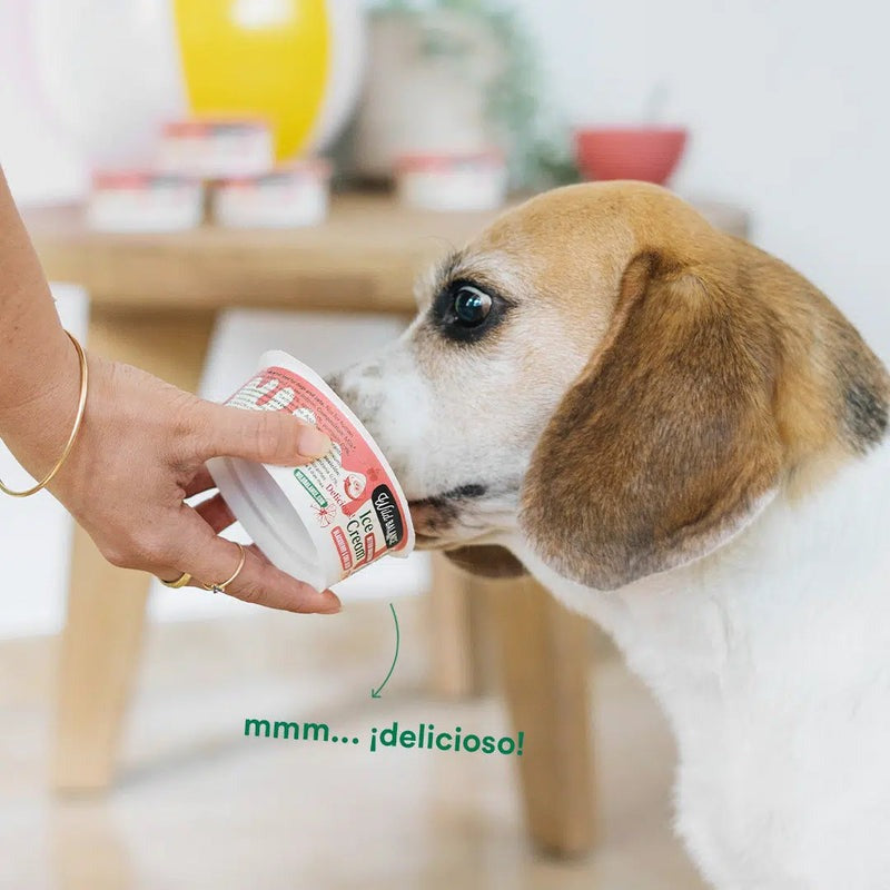 Wild Balance Frozen Yogurt para Cães e Gatos com Prebióticos Naturais 110g