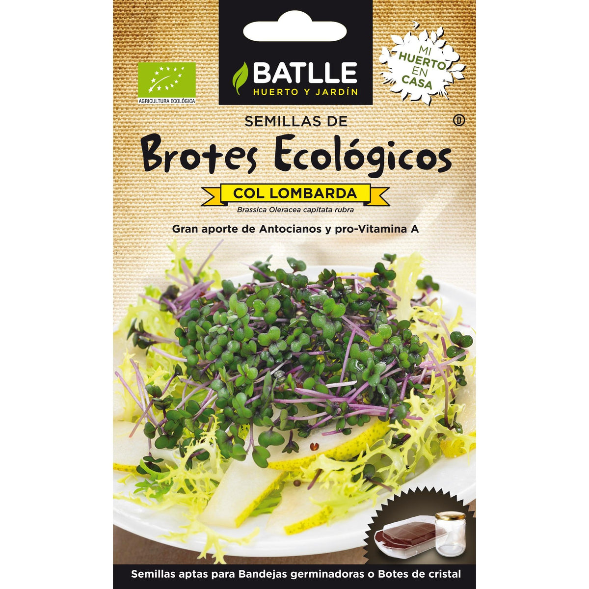 Sementes de couve roxa biológica Batlle para rebentos
