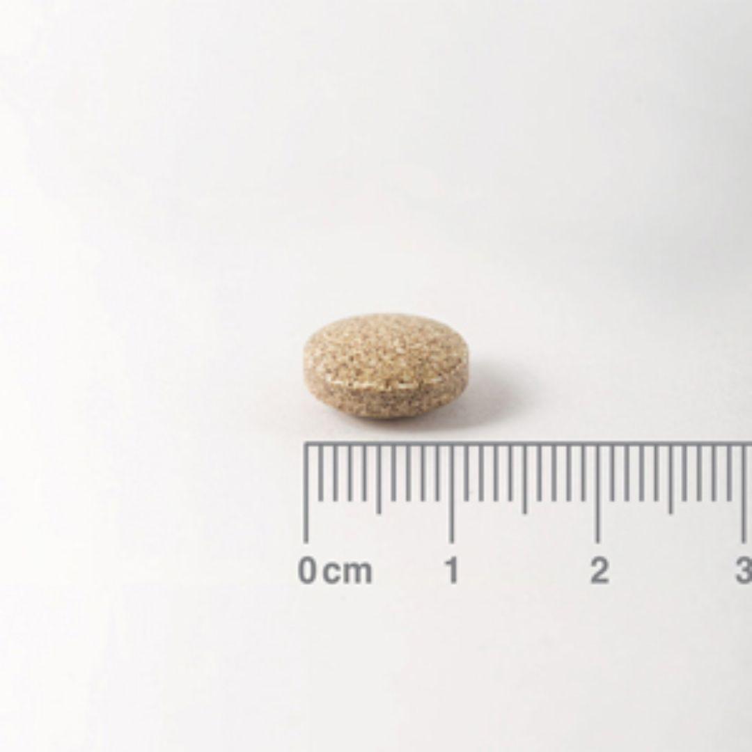 Ginkgo Biloba Lamberts 6000 mg Lamberts