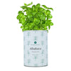 Kit de cultivo de manjericão aromático Planeta Huerto