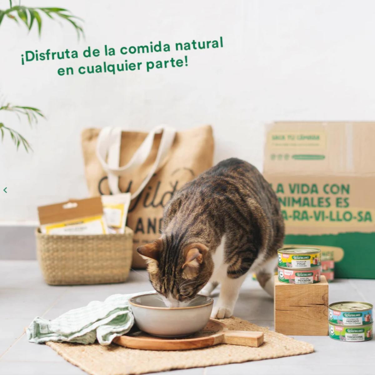 Ragu Tradicional de Carne e Frango Equilíbrio Selvagem para Gatos 6 x 80 g
