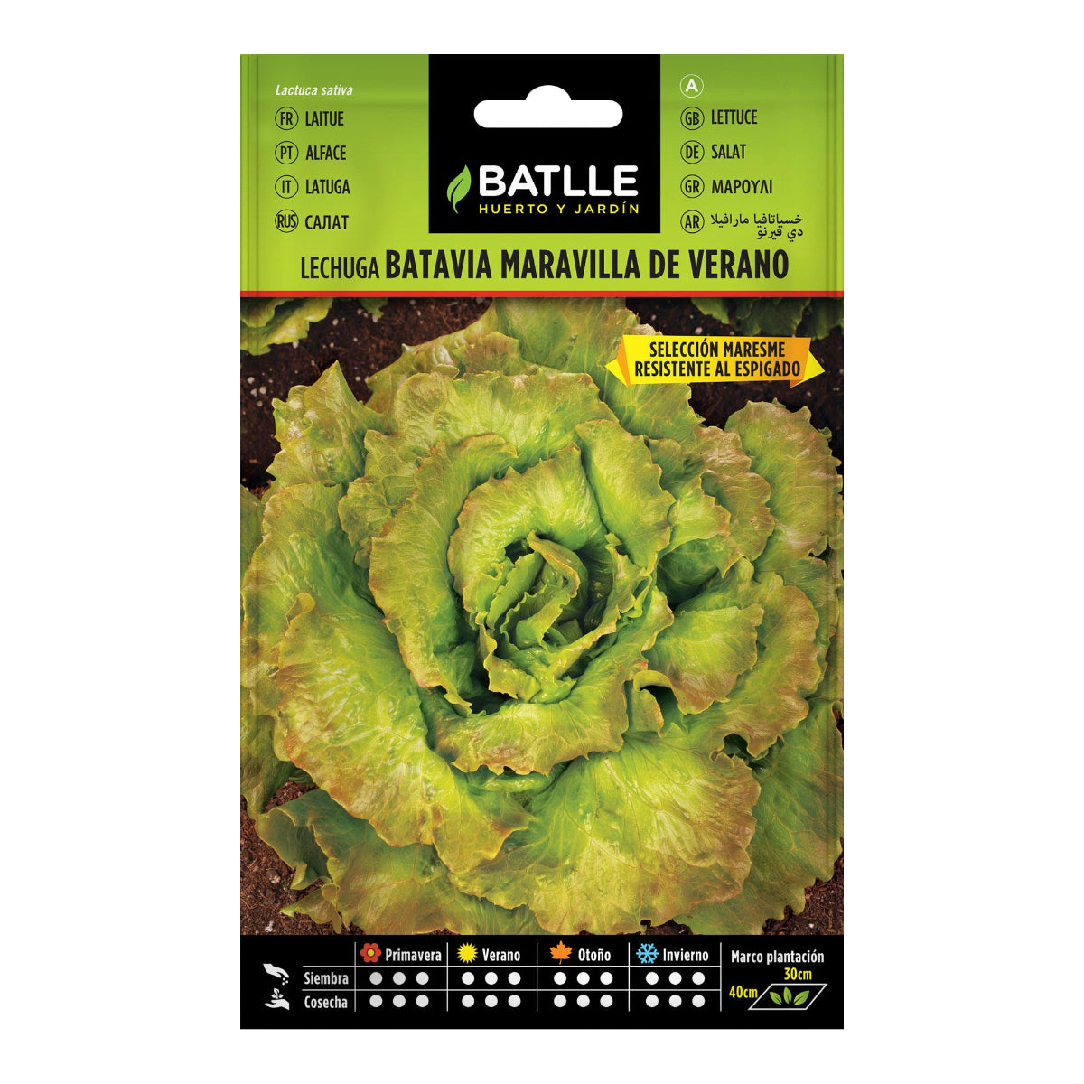Sementes de alface Batlle Summer Wonder