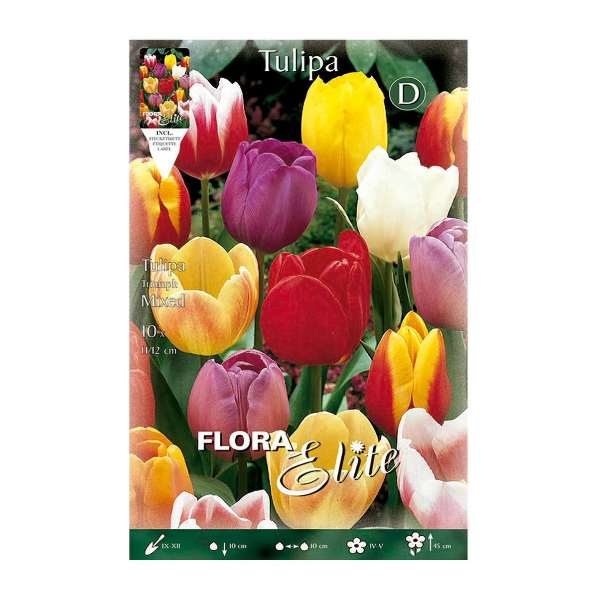 Bolbos de Tulipa Mix 7 unidades