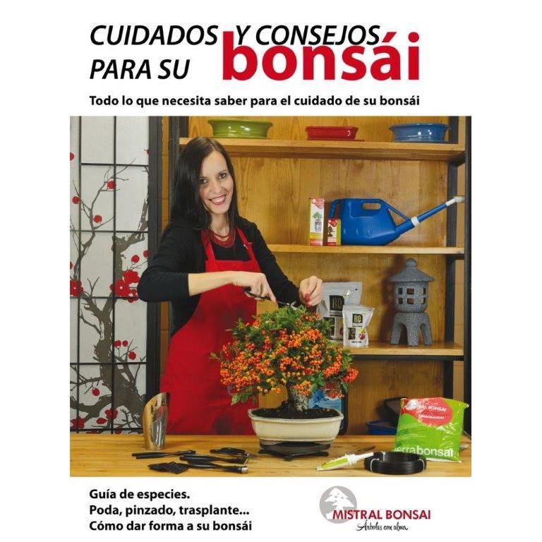 Guia de cuidados e dicas para o seu bonsai