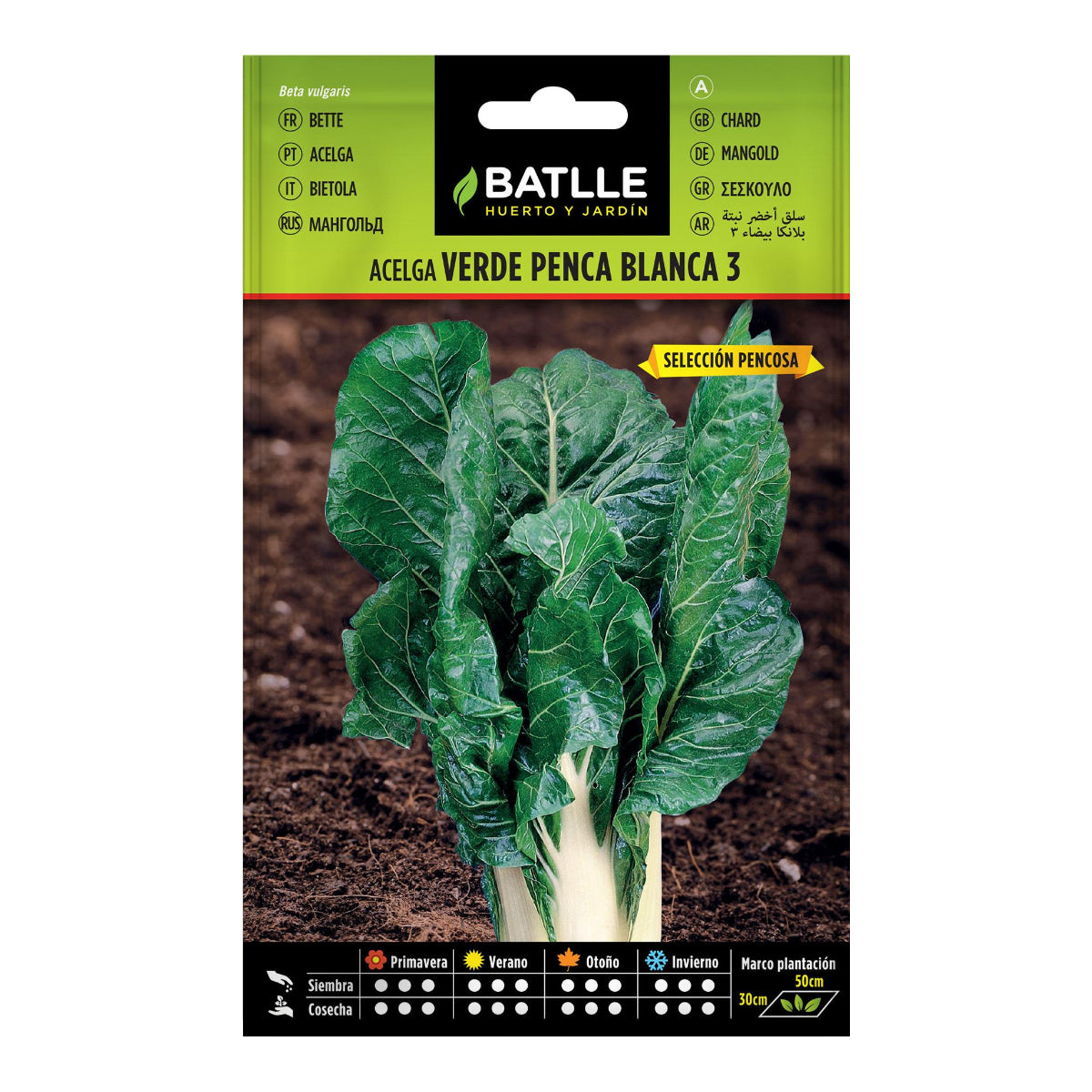 Sementes de acelga Batlle Green com hastes brancas 3
