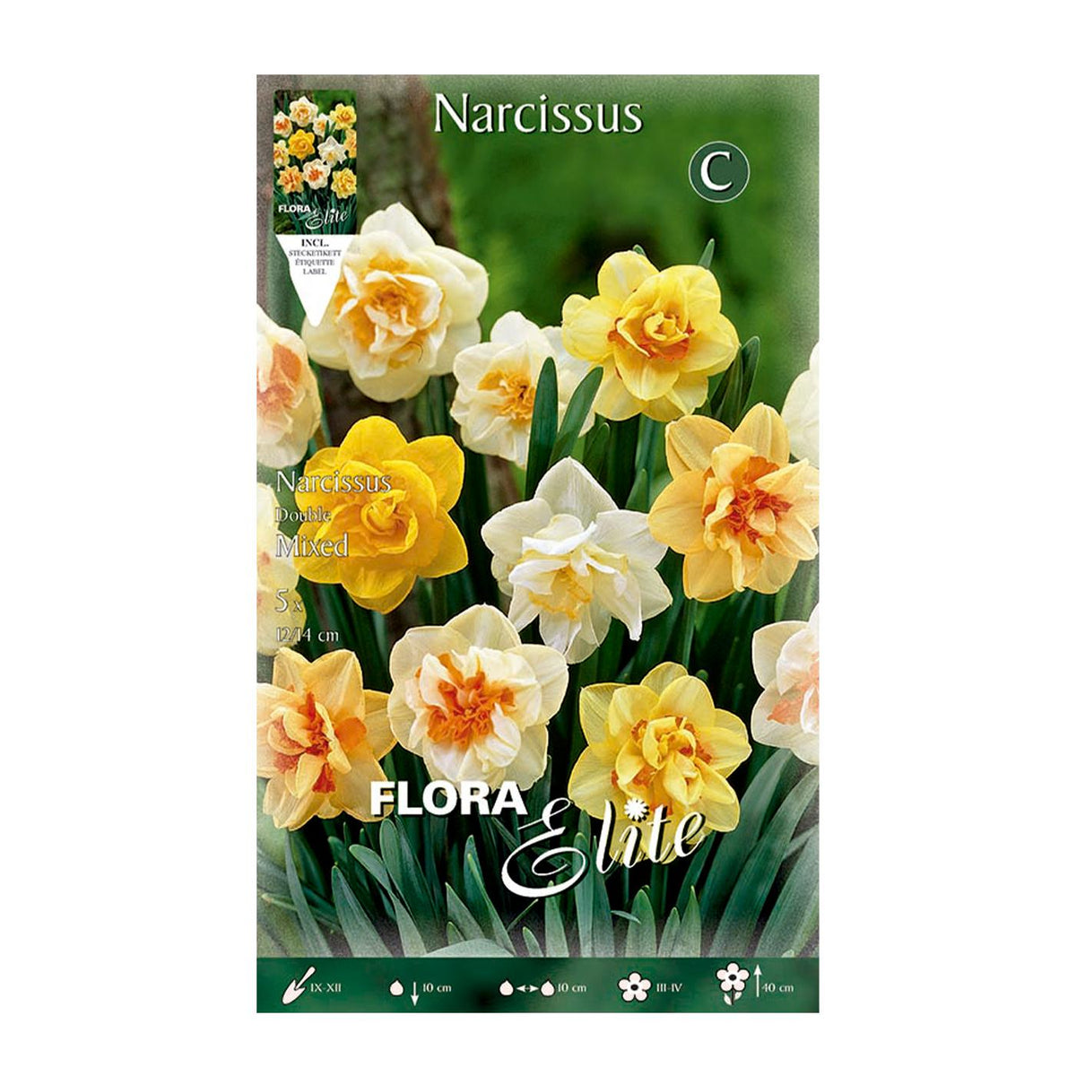 Bolbos de narciso duplos mix 5 unidades