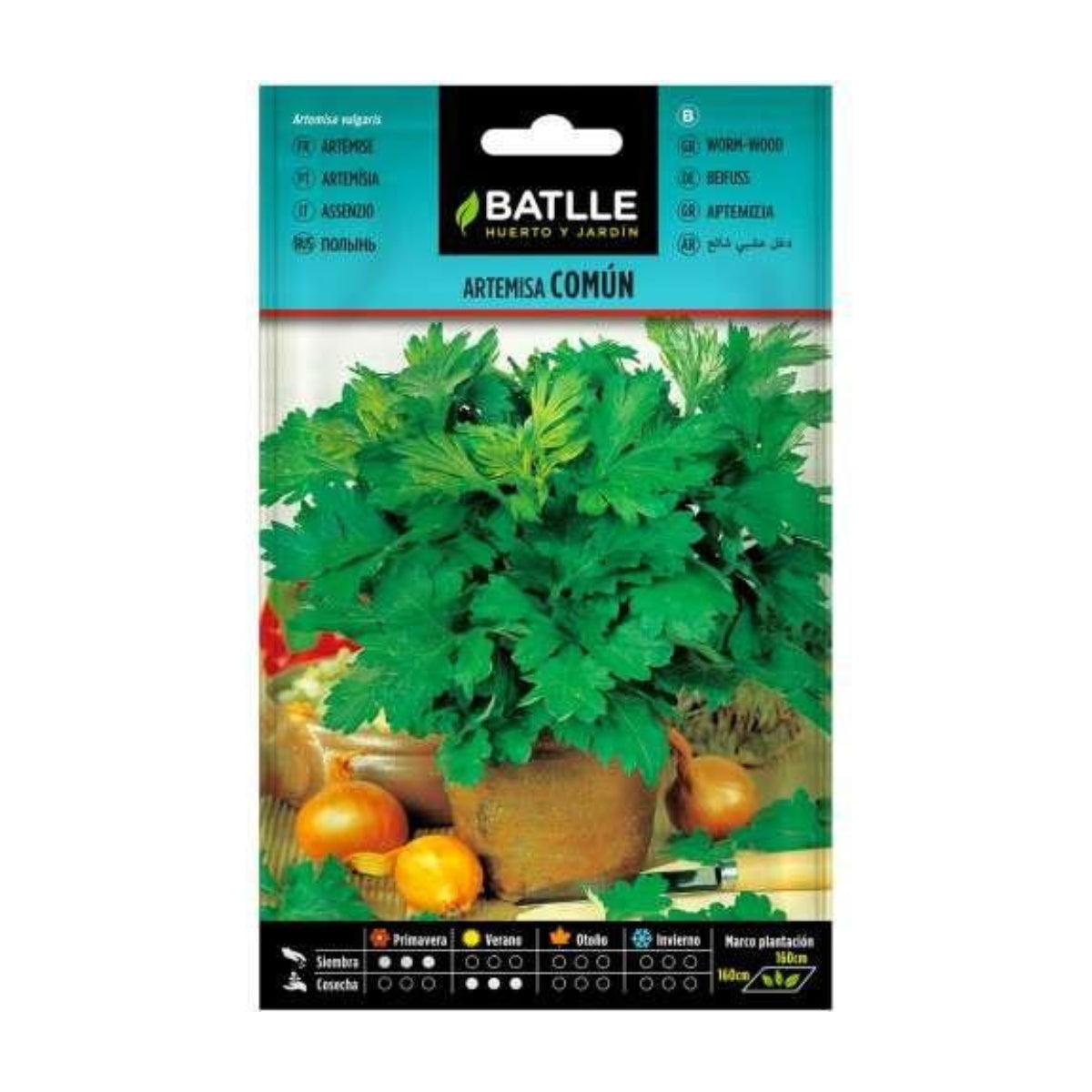 Sementes de Artemisia Batlle comum