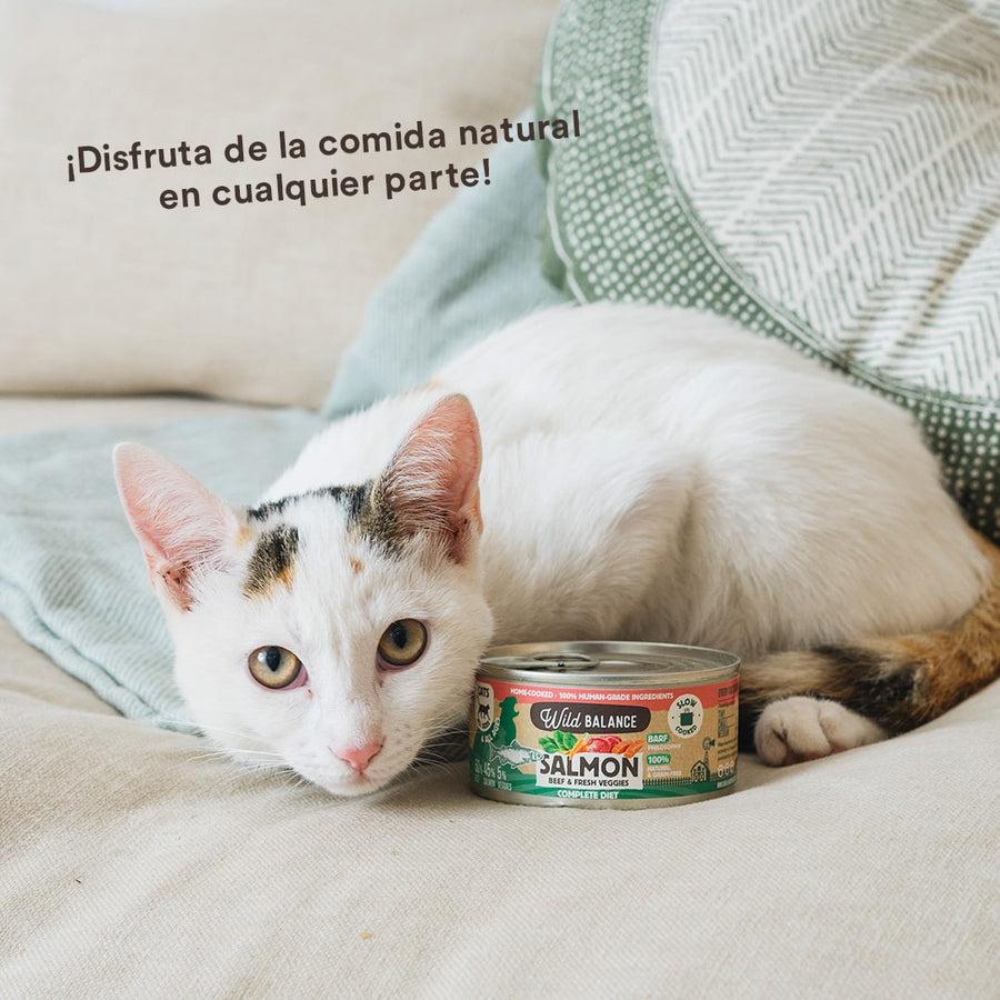 Ração enlatada BARF Wild Balance Salmão e Carne para gatos 6 x 120 g
