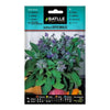 Sementes de Borragem officinalis Batlle