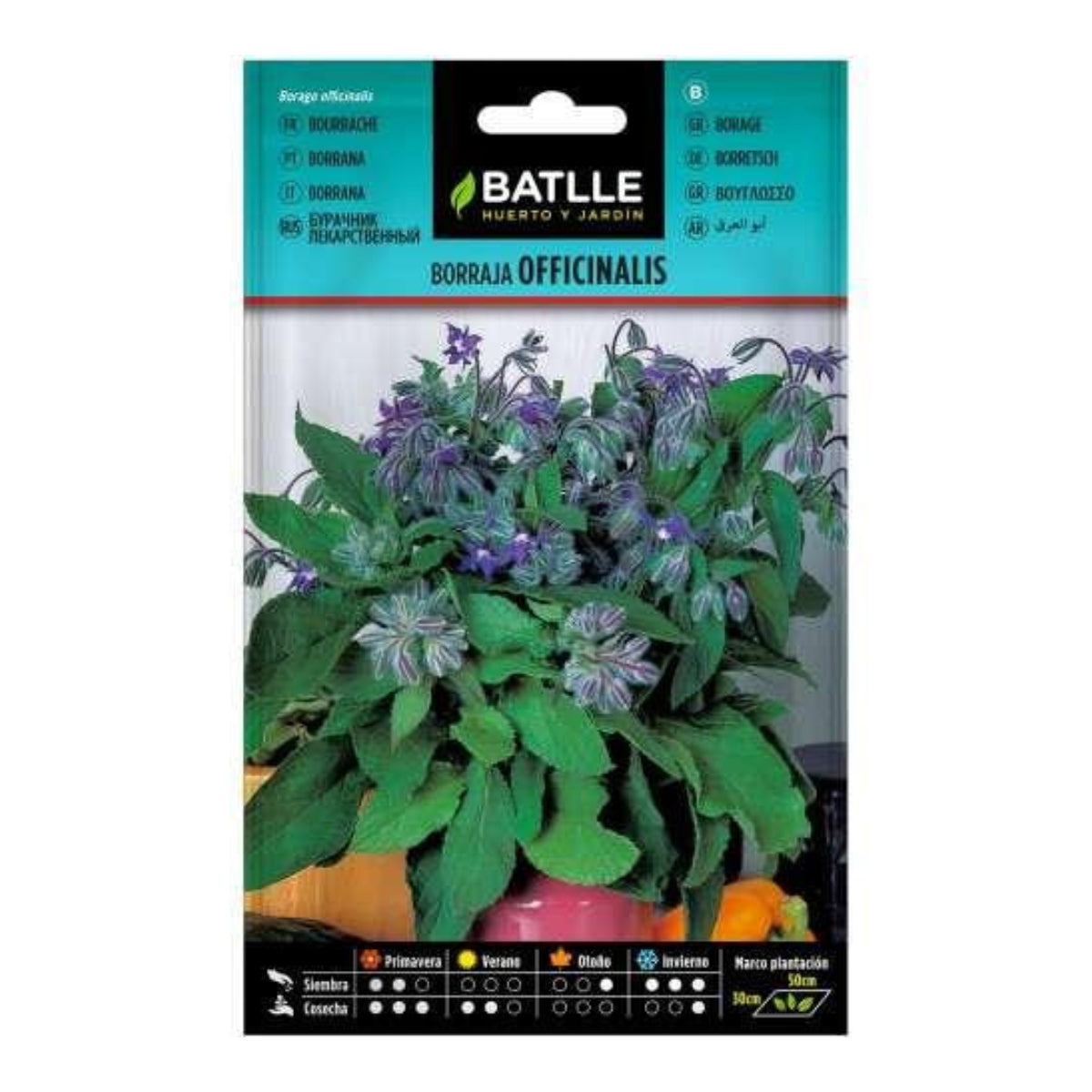 Sementes de Borragem officinalis Batlle