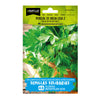 Semillas de Perejil de hoja lisa 2 BatlleBio ALDEAS INFANTILES