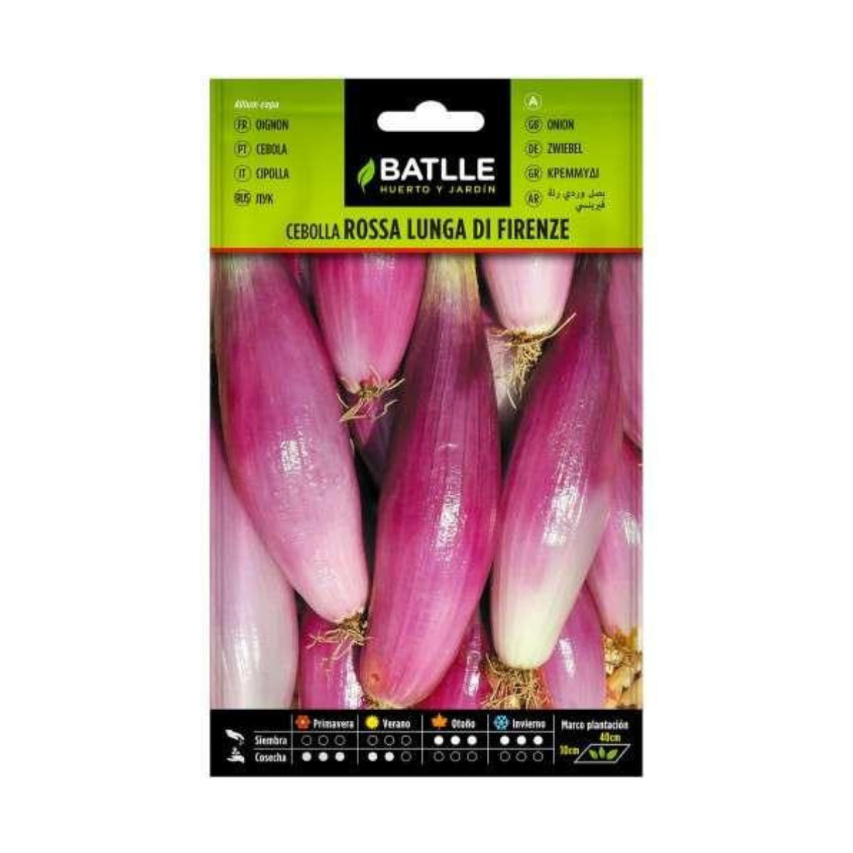Sementes de cebola rosa Lung Firenza Batlle