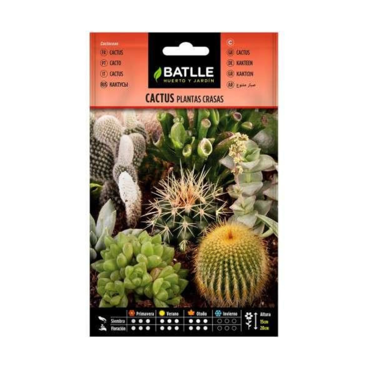 Sementes de cactos plantas suculentas Batlle