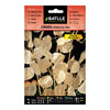 Lunaria semeia moeda do Papa Batlle