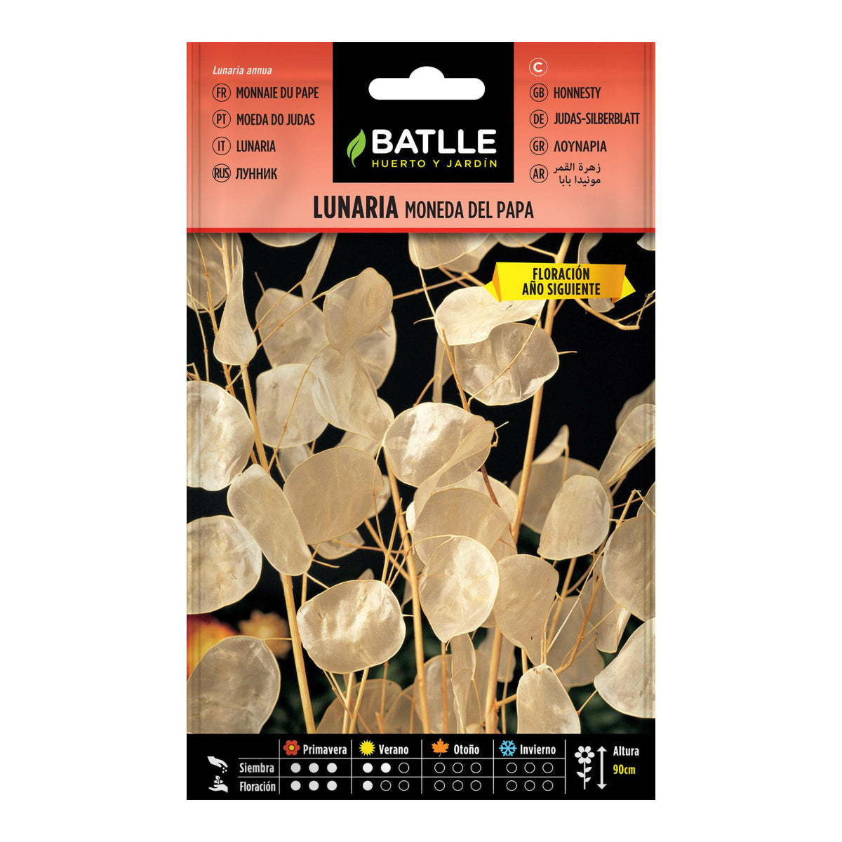 Lunaria semeia moeda do Papa Batlle