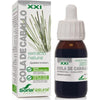 Extrato de Cavalinha Natural Soria, 50 ml