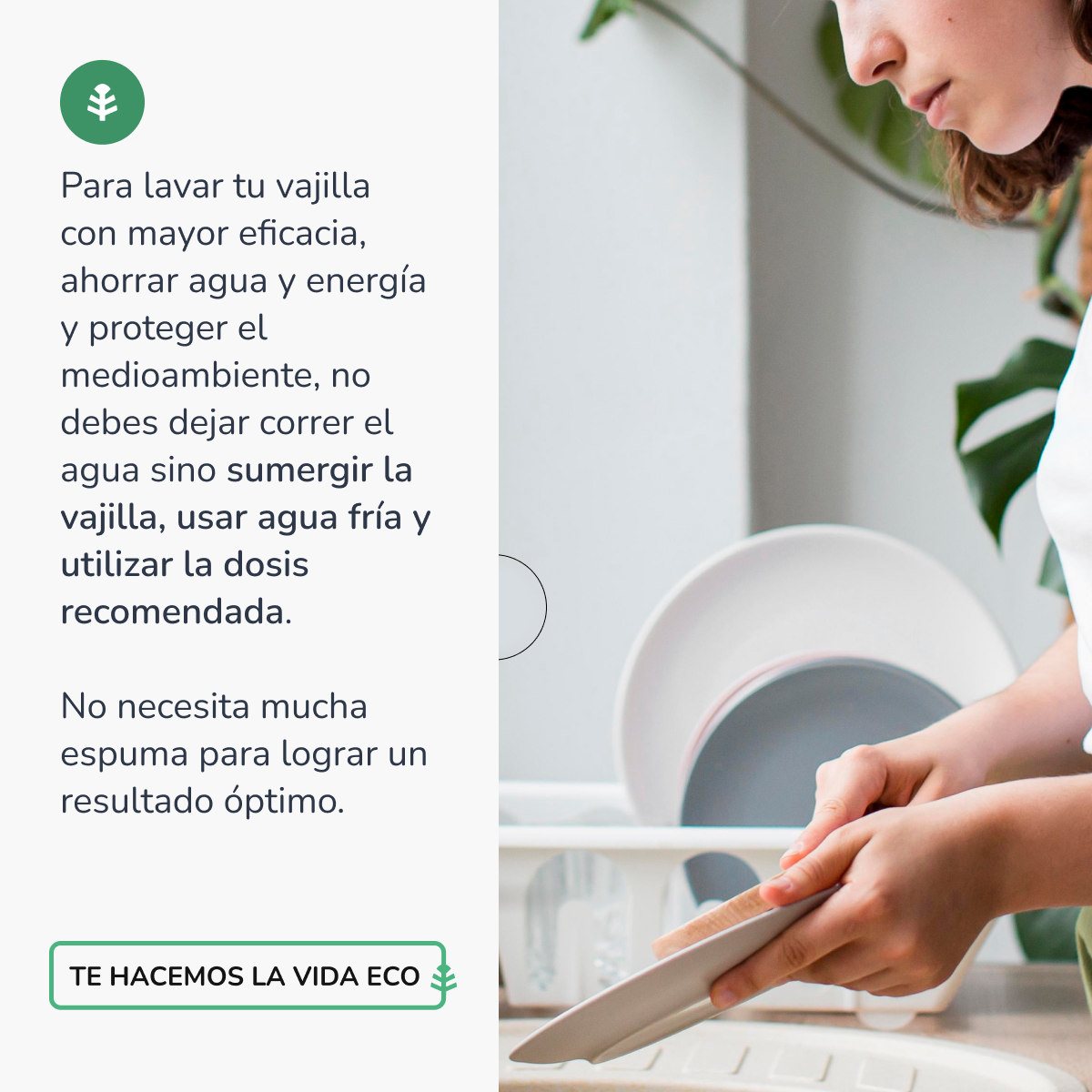 Máquina de lavar louça manual Chá Verde ECO Planeta Huerto 5l