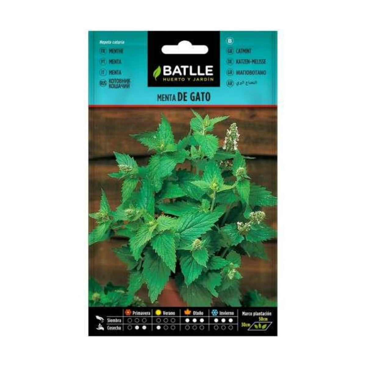 Sementes de hortelã-gateira Batlle