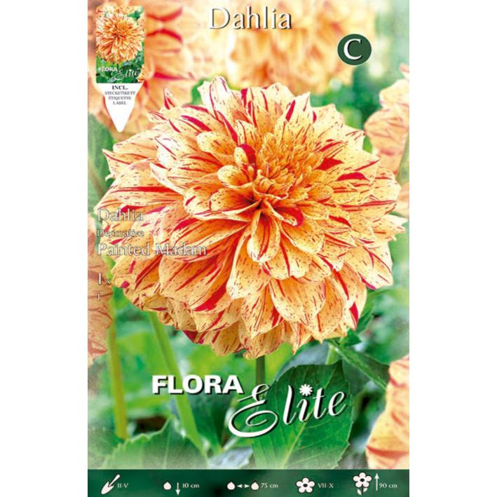 Bulbo decorativo Dália bronze laranja 1 unid.