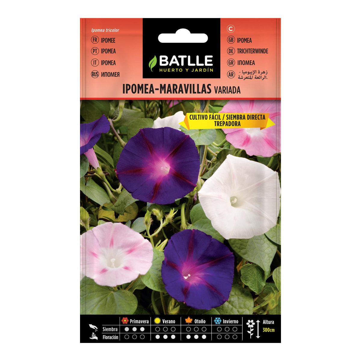 Sementes variegadas de Batlle Ipomea