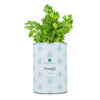Kit de Cultivo de Salsa Aromática Planeta Huerto