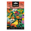Sementes de mistura para flores de jardim de pedras e bordas Batlle