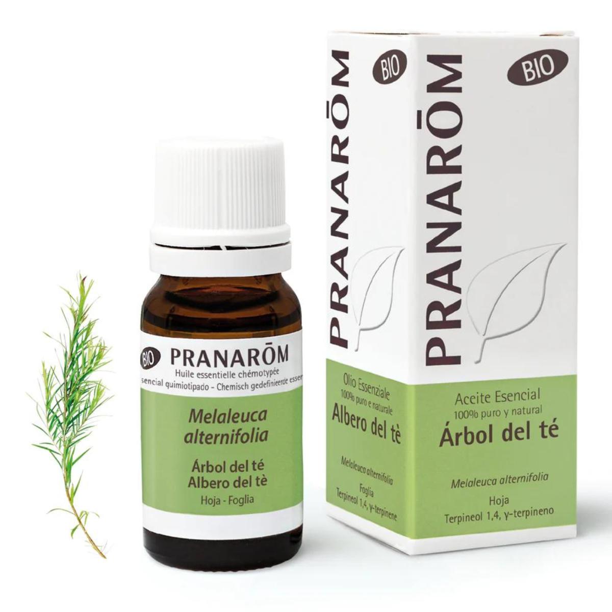 Óleo Essencial de Melaleuca Biológico, Pranarom 10 ml