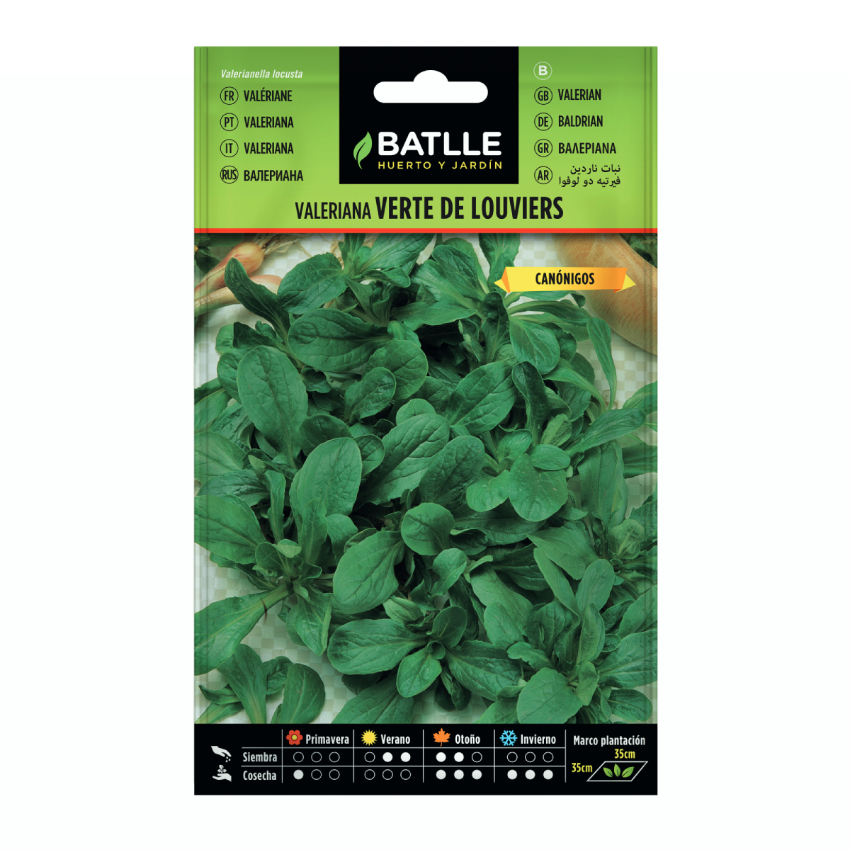 Louviers Batlle Verte Sementes de Valeriana