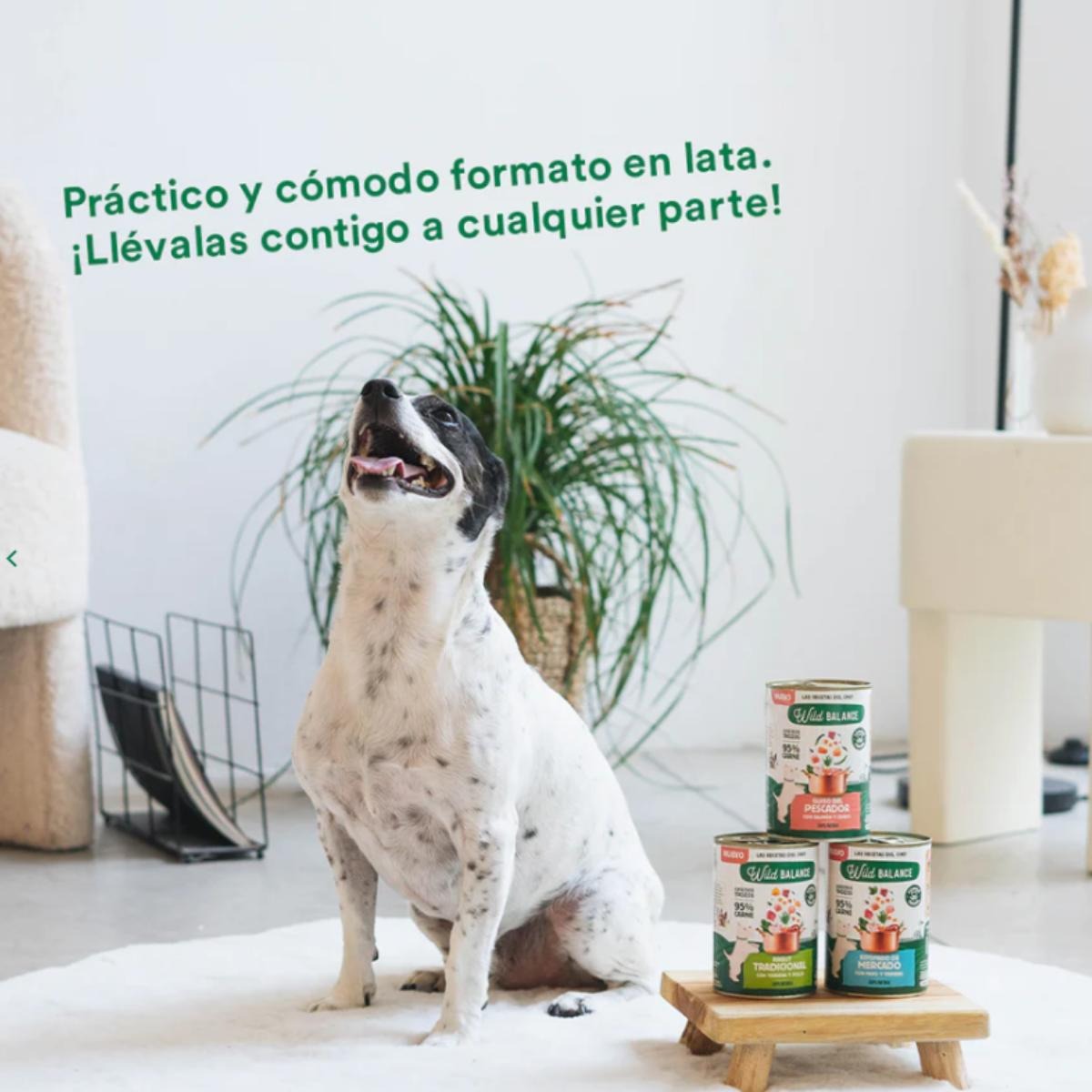Embalagem de 6 unidades de ensopado de peru e carne de vaca Wild Balance para cães 400g