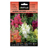Sementes de Antirrhinum semi-anão Batlle